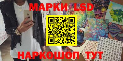шишки Можга