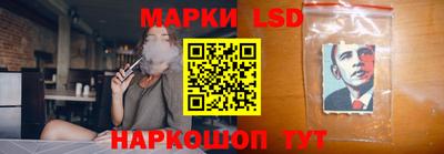 шишки Можга