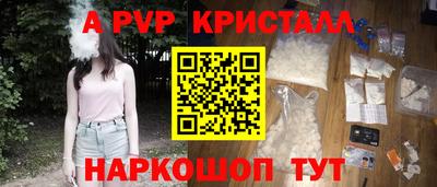 шишки Можга