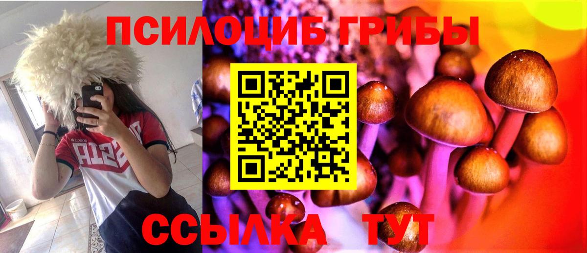 Галлюциногенные грибы Cubensis Ульяновск
