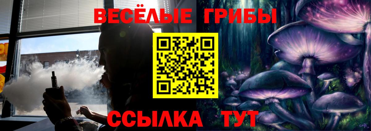 Псилоцибиновые грибы мицелий  наркошоп  Ульяновск  Вход с VPN  Псилоцибиновые грибы GOLDEN TEACHER 